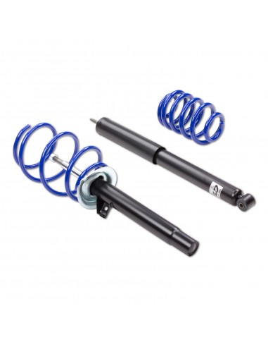 21320216 Zawieszenie sportowe AP BMW 3 (E36) RWD