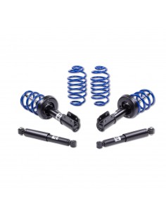 21310093 Zawieszenie sportowe AP AUDI A4 (8E2, B6) AWD 4x4