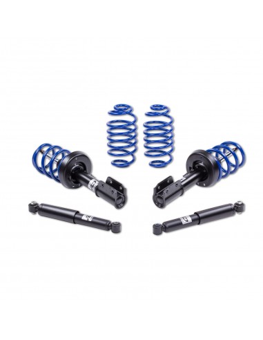 21310042 Zawieszenie sportowe AP AUDI A4 (8EC, B7) FWD